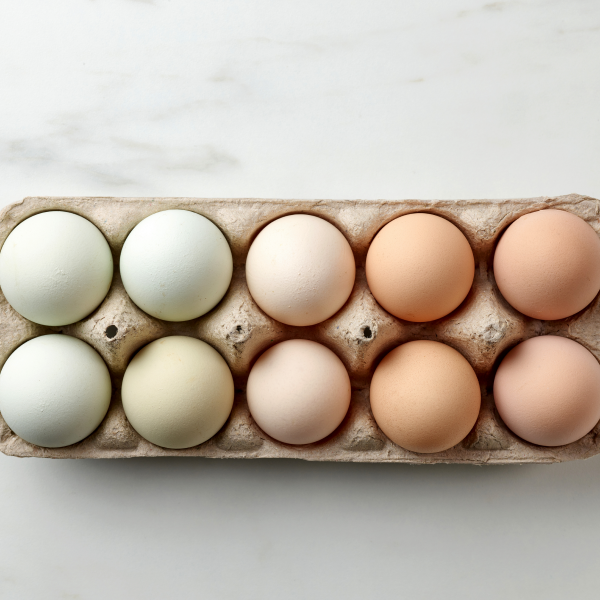 Oeufs extra frais bio